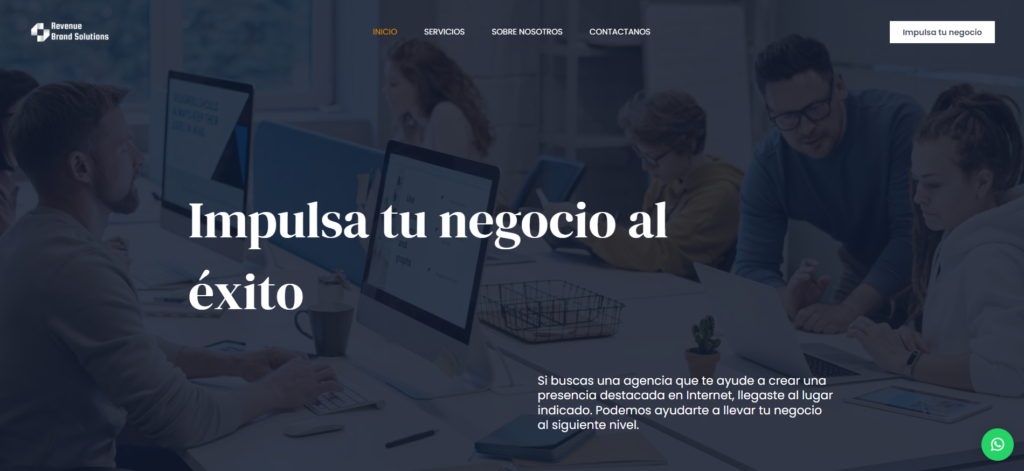 Revenue Brand Solutions, Proyecto de Alinova Technologies